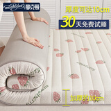 曼克顿（MANKEDUN）乳胶床垫加厚记忆棉榻榻米抗压单双人家用宿舍床褥子床垫子 甜心草莓（厚度约10cm） 100cm*200cm