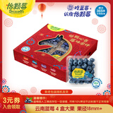 怡颗莓Driscoll's云南蓝莓Jumbo大果18mm+ 4盒装 约125g/盒 新鲜水果
