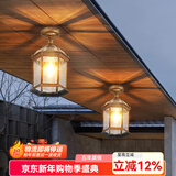 凯优美（KAIYOUMEI）户外中式别墅吊灯室外过道吸顶灯走廊凉亭阳台露台玄关庭院吊链灯 9寸/古铜色/吸顶款【28W三色】