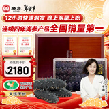 晓芹大连12小时干海参180g 50-65只 辽刺参 速发海参干货 年货礼盒
