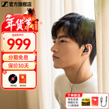 森海塞尔（Sennheiser）IE900/IE600/IE300旗舰级HIFI高保真超宽单动圈单元可拆卸MMCX挂耳式耳机 高保真发烧有线耳机耳塞 IE200 【热款HIFI高保真】