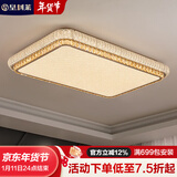 皇利莱客厅吸顶灯室内大厅主灯简约风护眼卧室吸顶灯现代餐厅灯中山灯具 【长方形192W】智能护眼灯具96CM