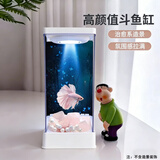 宠街坊斗鱼缸桌面家用创意造景装饰带灯迷你高透PET懒人金鱼缸