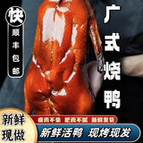 正宗广东脆皮烧鹅广式港式整只烧鹅广州深井顺德东莞古井特产熟食 1只【烧鸭】