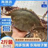 海速达海捕梭子蟹净蟹1kg 共5-7只鲜活冷冻大螃蟹海蟹飞蟹白蟹海鲜水产液氮急冻