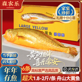 森农乐舟山大黄鱼礼盒深海黄花鱼生鲜鲜活冷冻冰鲜水产海鲜年货礼包商用 4条礼盒装【每条约1.4斤】