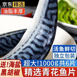 朵芙原切青花鱼 1kg深海鱼类特大青花鱼新鲜鲭鱼鲐鲅鱼生鲜海鲜水产 【单片独立包装】超大6片净1000g