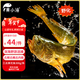 黄小渔【深海野化】宁德三去黄花鱼300g/条 大黄鱼 生鲜 海鱼年货送礼