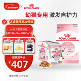 皇家幼猫 干湿搭配   K36 4.5KG+ KJP 85G*12