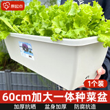 原起点 长方形种菜盆(18L)大花盆阳台塑料种菜箱懒人神器长条蔬菜种植箱 【超值·福利款】牛津灰1个