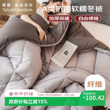 雅鹿·自由自在A类被子秋冬天季棉被芯单双人宿舍学生6斤200x230cm 古典灰