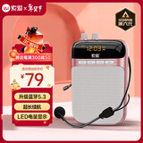 索爱（soaiy）S318小蜜蜂扩音器教师专用U盘TF卡麦克风喇叭防啸叫导游蓝牙音箱户外教学讲课  TYPE-C金