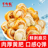 千牛农扇贝肉2斤 鲜剥冷冻带黄扇贝肉干净无沙 海鲜贝类源头直发 年货