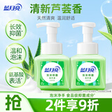 蓝月亮泡沫洗手液抑菌99.9% 泡沫细腻滋润护手(天然芦荟)255ml*2 泡泡