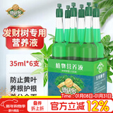 德沃多发财树专用植物营养液6支/包园艺绿植盆栽养花肥料水培有机叶面肥