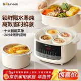 小熊（Bear）电炖盅隔水炖汤盅电炖锅燕窝炖盅煲汤炖汤陶瓷全自动家用3-4人炖蒸煮一体多功能锅4.1L DDZ-J25H5