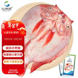 仙泉湖三去星洲红1斤单条净膛后冷冻罗非鱼刺少海鲜水产年货生鲜食材