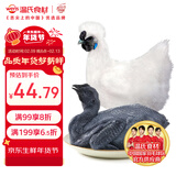 温氏 供港白凤乌鸡2.4斤 冷冻月子餐月子鸡汤材料 慢养110天以上