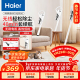 海尔（Haier）无线手持吸尘器家用除灰尘车载轻量宠物吸毛便携式随手吸除尘机大功率大吸力25年新品SQ2D新年好礼