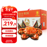 【活蟹】宿有千香霸王蟹 鲜活大闸蟹 全母蟹3.3-3.6两/只 共8只 螃蟹年货礼盒 源头直发