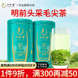 一杯香茶叶绿茶明前头采毛尖茶250g2025新茶过年货礼盒装送礼自己喝自饮