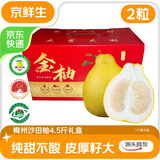 京鲜生 梅州沙田柚金柚净重4.5斤2粒单果2斤+ 年货礼盒 源头直发包邮