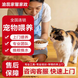 【上门宠物喂养服务】上门喂猫咪喂狗喂兔子仓鼠喂鸟换粮换水更换猫砂陪玩卫生清理 上门喂猫服务*5次