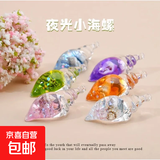 七彩夜光海螺螺中螺DIY奶油胶钥匙扣创意挂件亚克力饰品 5个装 无规格