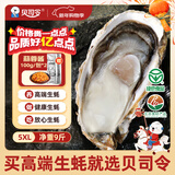 贝司令 鲜活乳山生态生蚝5XL 净重9斤 14-18只 生鲜源头直发年货送礼