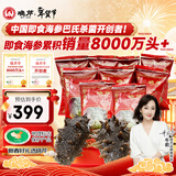 晓芹大连即食海参 400g 7-10只 辽刺参 海鲜水产 年货