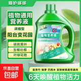 营养液植物通用型花肥发财树富贵竹绿萝水培盆栽家用花卉养花肥料 【通用型】500毫升一瓶