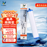 道尔顿（Doulton）【英国原装进口】净水器滤芯 KDF DIP301专用适配滤芯BioTect Ultra 9004型