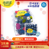 怡颗莓Driscoll's云南蓝莓Jumbo大果18mm+4盒装约125g/盒 新鲜年货水果
