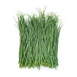 【地标好物】阿拉善沙葱100g