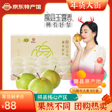 梨贡士隰县梨园 山西隰县玉露香梨 临汾馆玉露香梨脆甜多汁梨子特产 15颗中大果（9斤装）