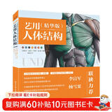 艺用人体结构（精华版）