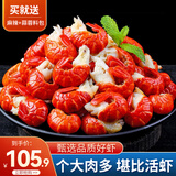 鲜渔翁特大小龙虾尾冷冻生鲜麻辣小龙虾球新鲜特级 5斤 特级龙虾尾 【送料包】
