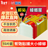 榄菊蟑螂屋10片/盒蟑螂贴家用杀蟑除蟑螂药灭蟑螂器全窝端