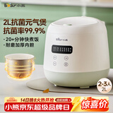 小熊（Bear）电饭煲2~3人 家用迷你小容量电饭锅 2L智能快煮饭多功能智能预约煮粥锅微压煮饭锅 DFB-Q20B2