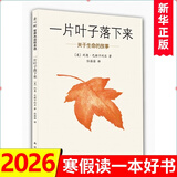 一片叶子落下来：关于生命的故事 7-10岁爱心树绘本童书亲子故事幼儿启蒙精装图画书