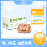 九華粮品散养土鸡蛋40枚 净重3斤 农家柴鸡蛋 笨鸡蛋 月子蛋