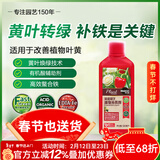 美乐棵园艺植物补铁剂花肥肥料改善叶黄植物营养液500ML