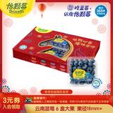 怡颗莓Driscoll's云南蓝莓Jumbo大果18mm+ 6盒约125g/盒 水果年货礼盒