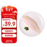 湄公大厨越南巴沙鱼柳净重1200g 无骨无刺低脂肪高蛋白轻食