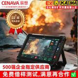CENAVA 辰想W10N三防平板电脑工业pad可定制防爆煤安矿安认证10英寸windows10系统长续航手持带RS232串口 10吋W10N（8+128G+2D）普分普亮电商款 三防版本