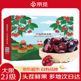 京觅 大连美早樱桃车厘子 2J级净重1.8斤单果10-12g 水果源头直发