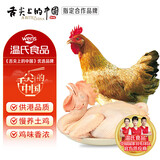 温氏 供港农养公鸡 1.6斤 冷冻走地鸡农家散养大公鸡 散养90天以上