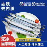 鱼跃船头特大秋刀鱼半成品无冰去鳃去内脏深海船冻锁鲜日料深海鱼商超同款 秋刀鱼600g*2