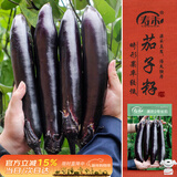 寿禾 长茄子种子苗大果柔嫩家庭菜园冬春蔬菜籽 黑豹2号长茄种子500粒
