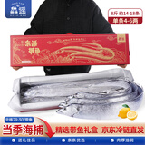 鱻谣北纬29-30°东海大号油带鱼礼盒净重8斤 单条4-6两 海鲜礼盒年货